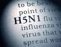 Global Virus Network monitors spreading avian influenza in Australian mammals
