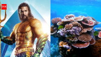 Jason Momoa raises alarm over coral reefs nearing extinction; scientists report world's most widespread bleaching event