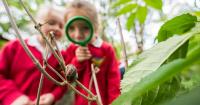 School grounds are being transformed into vibrant, living landscapes