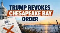 Trump Revokes Chesapeake Bay Restoration Order — What It Could Mean For Maryland