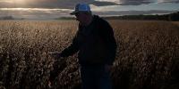 'Misled' and 'Strung Along' by Trump, Financial Pain of Farmers Grows as Costs Continue to Skyrocket