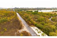 Gumbs: Put Mullet Bay up for sale instead of pursuing master plan