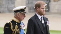 The fury of King Charles: Inside the Palace, under siege from Diana once again