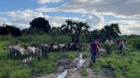 Student researchers ‘time travel’ through Tanzanian sediment samples Analysis will reveal the area’s ecological history and climatic and environmental future