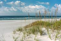 Florida Reports Fourth 2026 Death From Vibrio vulnificus as Gulf Coast Cases Continue