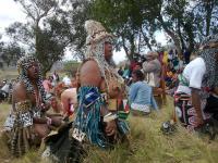 Traditional Healers Still Waiting on Their Bill Since 2014 Bil
