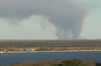 Grassland fires in the Paraná islands reignite environmental alert in front of Greater Rosario