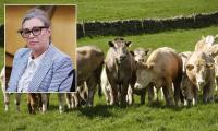 Could the SNP's eco zealots be coming for Scotland's cows?