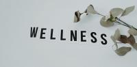 Dominica youth ambassadors call for greater focus on youth wellness