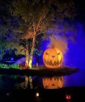 Beyond the pumpkin patch: Niche ways to get in the spooky spirit around Denver