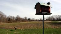 The late Suzanne Magaziner’s farm fed low income Rhode Islanders for decades