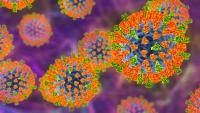 Maine CDC confirms measles case, warns of possible exposure at urgent care facility