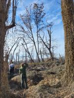 Restoration to Revitalize:  Pool 18 and the Mississippi