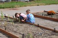 Farmington Municipal Schools wins Blossom Award for New Mexico Grown