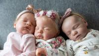 The New Zealand artists creating and collecting hyper-realistic reborn dolls