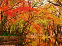 A musical welcome to autumn: The 9 AM hour this Saturday 