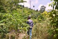 Mars, Incorporated claims notable gains with Cocoa For Generations report