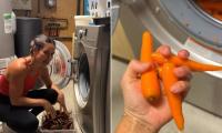 Lifestyle influencer causes a stir over 'unhinged' decision to clean carrots in washing machine: 'Stop it right now!'