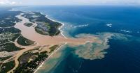 Human Nitrogen Pollution Outpaces Nature Along a Quarter of the World’s Coastlines