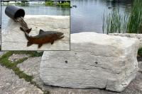 Brook trout statue honouring Jane Goodall stolen from Science North shoreline