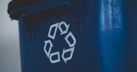 Green Focus: How can we create a green economy?