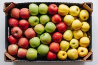 7 Healthiest Types of Apples, Ranked by a Dietitian