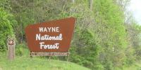 BLM sells 40 oil and gas parcels in Wayne National Forest