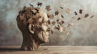 Is AD Transmissible? The Evidence for ‘Iatrogenic’ Disease