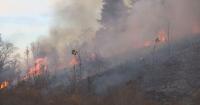 Alabama Forestry Commission warns public of wildfire risk