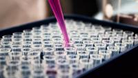 Anthropic opens AI-powered biology research lab