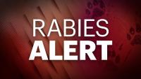 Rabid coyote confirmed in Fairfield, health officials urge caution