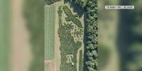 Maine corn maze voted best in the nation for fifth consecutive year