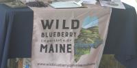Wild blueberry industry leaders meet to address shrinking acreage