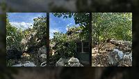 Large tree crushes 2 Takoma Park homes, leaving both unsafe to live in A large tree fell onto two homes in Maryland's Takoma Park area on Friday, destroying both houses and leaving them unsafe to occupy, fire officials said.