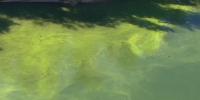 Nebraska DHHS extends health alert for toxic algae at lakes in Gage and Jefferson counties