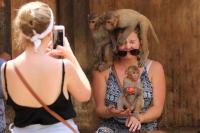 These Popular Wildlife Experiences Could Cause Animals a ‘Lifetime of Suffering’—Here’s What Travelers Should Do Instead