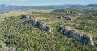 Sweetwater County backs proposed changes to federal forest land management