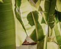 Four Seasons opens Urja Naturopathy Island at Maldives resort