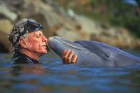 In the 1960s, He Trained Dolphins for the TV Hit “Flipper”. After Bonding with the Animals, He Switched to Fighting for Their Freedom