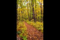 Michigan Trails Week returns this month