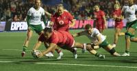 Tuipulotu scores twice and Williams has good debut as Wales thrash South Africa