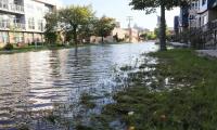As global temperatures rise, Wisconsin prepares to adapt