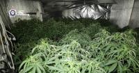 Police launch largest-ever crackdown on ACT’s cannabis grow houses