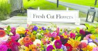 Local Business: Fly Creek Flowers offers customers a seasonal subscription service