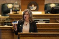 State Rep. Brandi Bradley challenges Colorado House workplace harassment panel in court