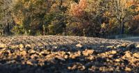 Michigan launches project with crop insurance companies to reward regenerative farming