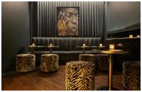 Martini Lounge, From Former Chicago Bear Israel Idonije, Elevates The Classic Cocktail