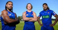Kiwi Knights ready to upset their families in Auckland