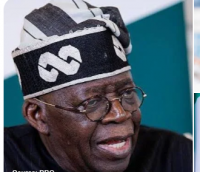 Tinubu seeks African alliance to protect mineral wealth
