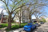 Moose Jaw faces loss of over 263 elms as Dutch elm disease cases hit record high